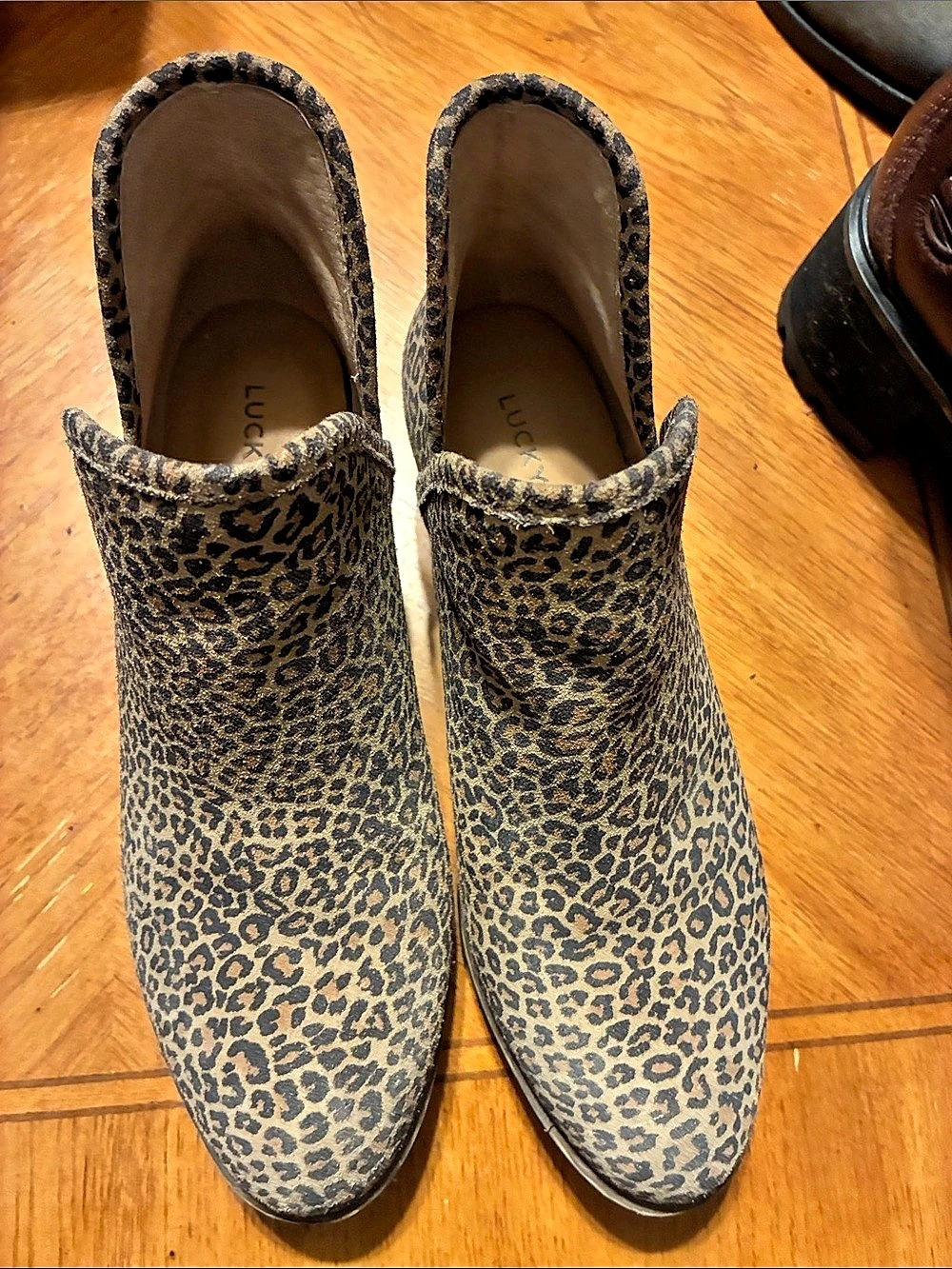 Lucky Brand Bashina2 Leopard Print Ankle Boots Brown & Black US 6M